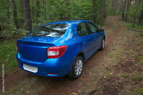 GOMEL, BELARUS - 24 MAY 2017: RENO LOGAN blue car parked in a dark pine forest. © makam1969