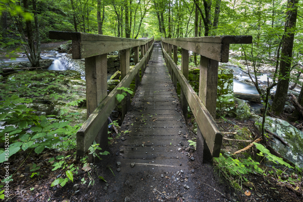 Fototapeta premium Wooden Bridge