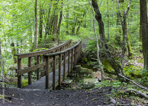 Bridge To Adventure