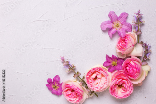 Fresh pink roses and violet summer clematis flowers on grey textured background.
