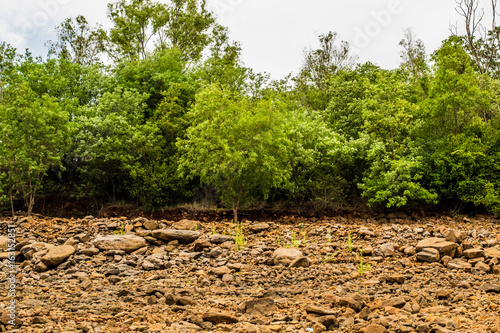 Trees on a Hill, Panshet Dam photo