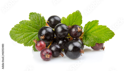 Bunch of ripe black currant berries isolated