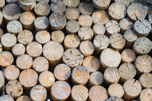 Preparation of winter firewood. Pile from many big and small logs. Environmental concepts and principles. For natural design  patterns  background