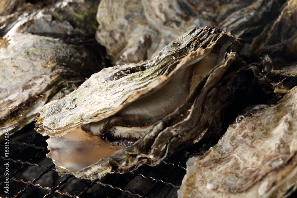 牡蠣網焼き　Grilled oyster