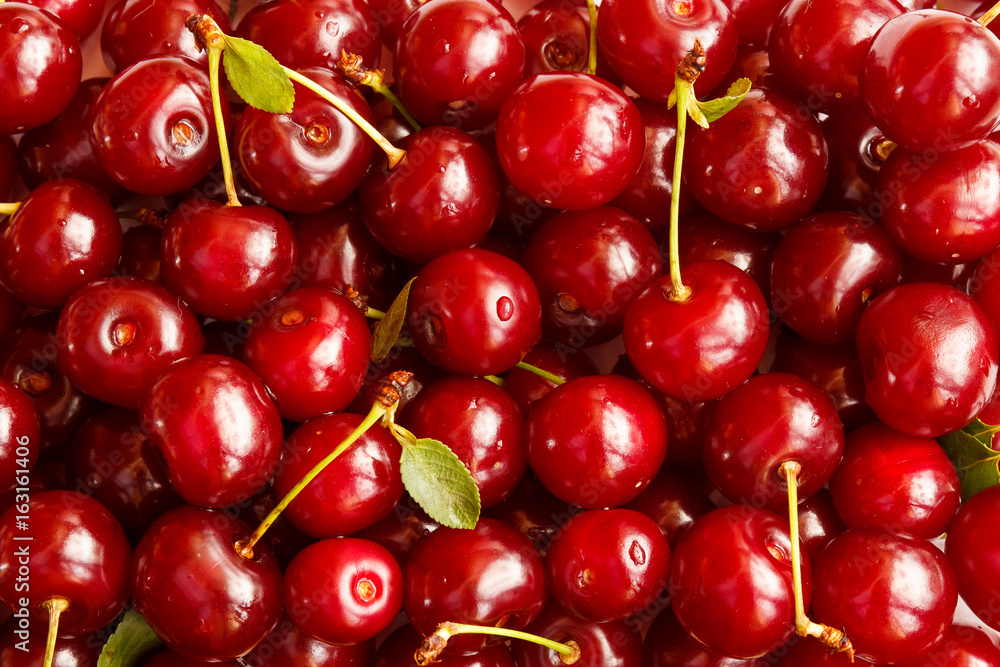 Background of ripe cherries. Selective focus. Background of ripe cherries. Selective focus.