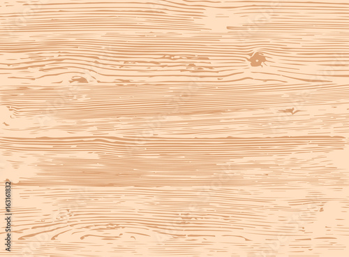 Wooden planks overlay texture for your design. Shabby chic background. Easy to edit vector wood texture backdrop.