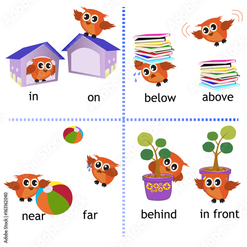 Preposition english grammar with Owl motion for preschool. vector illustration. © sulada