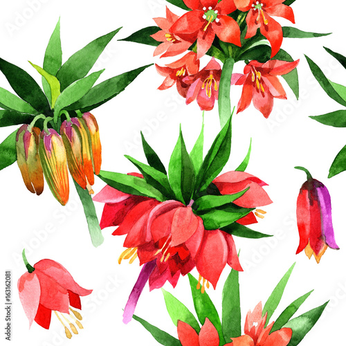 Wildflower Fritillaria imperialis flower pattern in a watercolor style. Full name of the plant  Fritillaria imperialis Aquarelle wild flower for background  texture  wrapper pattern  frame or border.