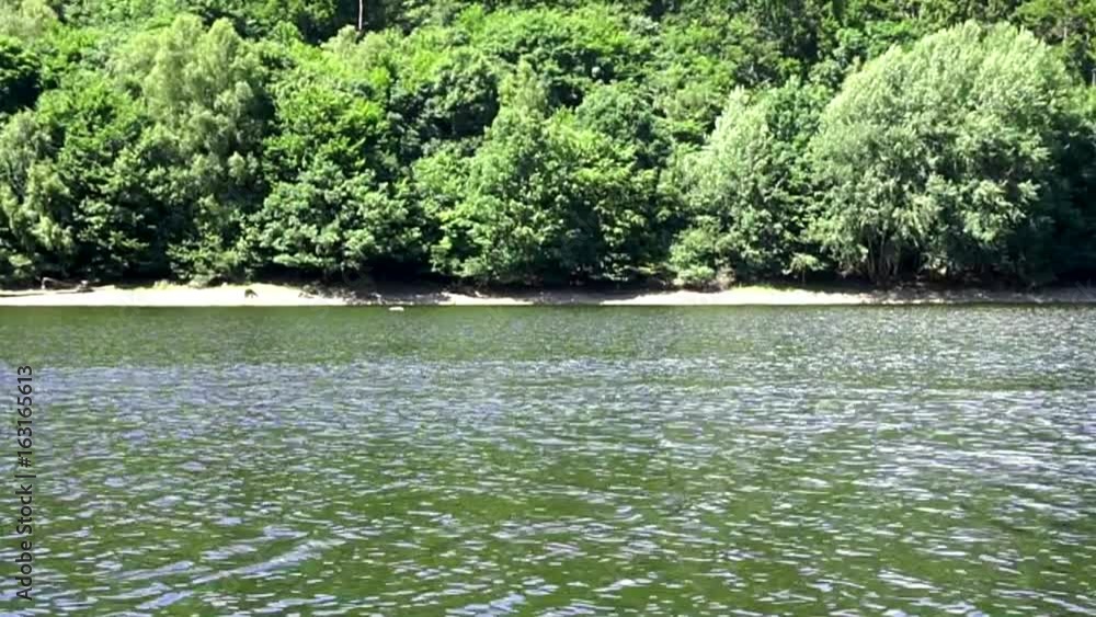 dicht bewachsenes ufer, Wendefurth, Harz, Deutschland