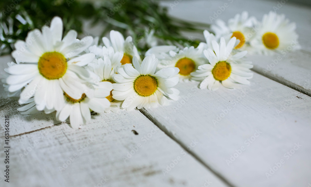 Obraz premium White daisies on an old white wooden table. Selective focus. Summer background for a card from copy space