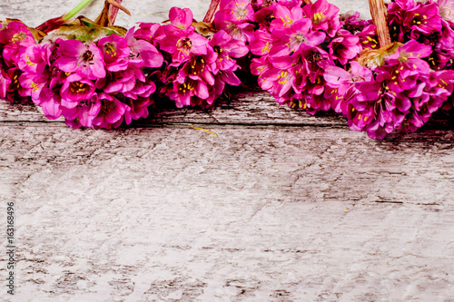 flowers on wooden table with copy space. celebration template concept.