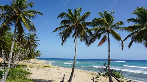 Fototapeta Naklejka Na Ścianę i Meble -  tropical hideaway beach