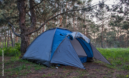 A blue tent on a forest glade, on a summer evening