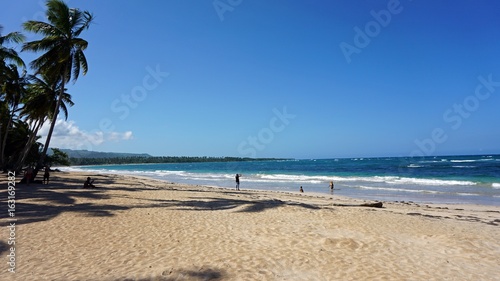 Fototapeta Naklejka Na Ścianę i Meble -  caribbean beach