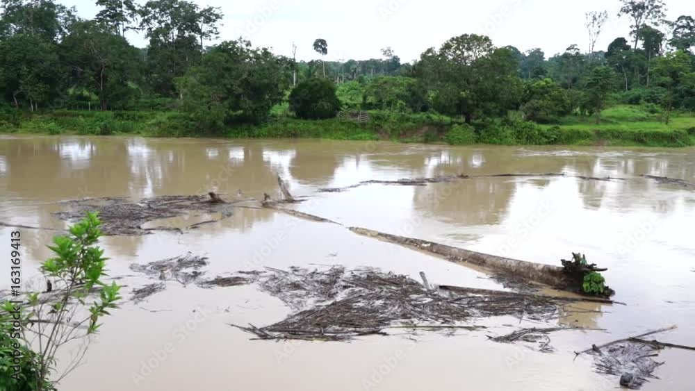 Tree trunk floating in water