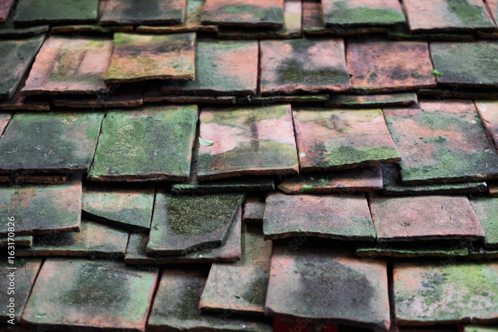 Clay roof tiles with moss. Clay roof tiles with moss.