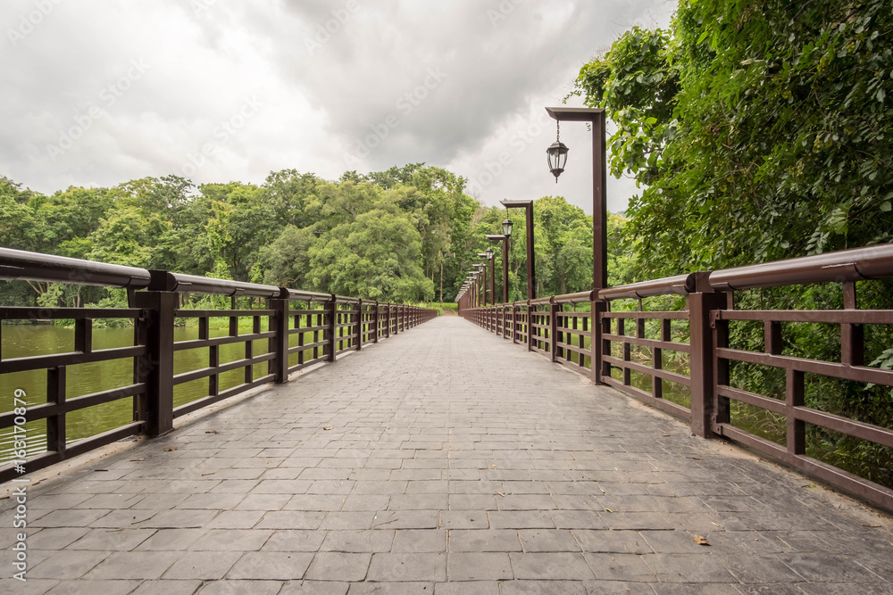 Obraz premium Bridge across the lake.