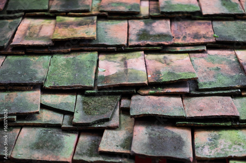 Clay roof tiles with moss.