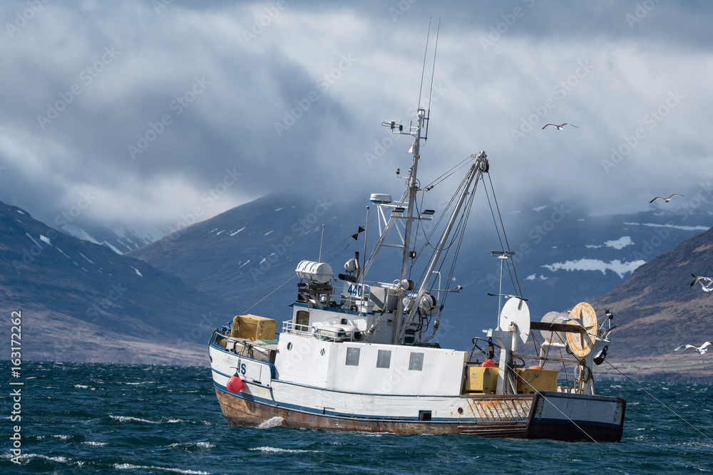 Naklejka premium Commercial fishing vessel heading into a storm towards the end of Isafjordur fjord, Westfjords, Iceland