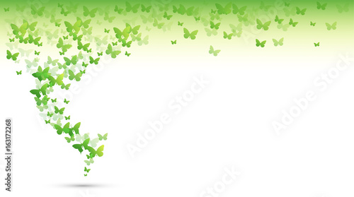 farfalle, silhouette, sagome, volare, leggerezza, volo