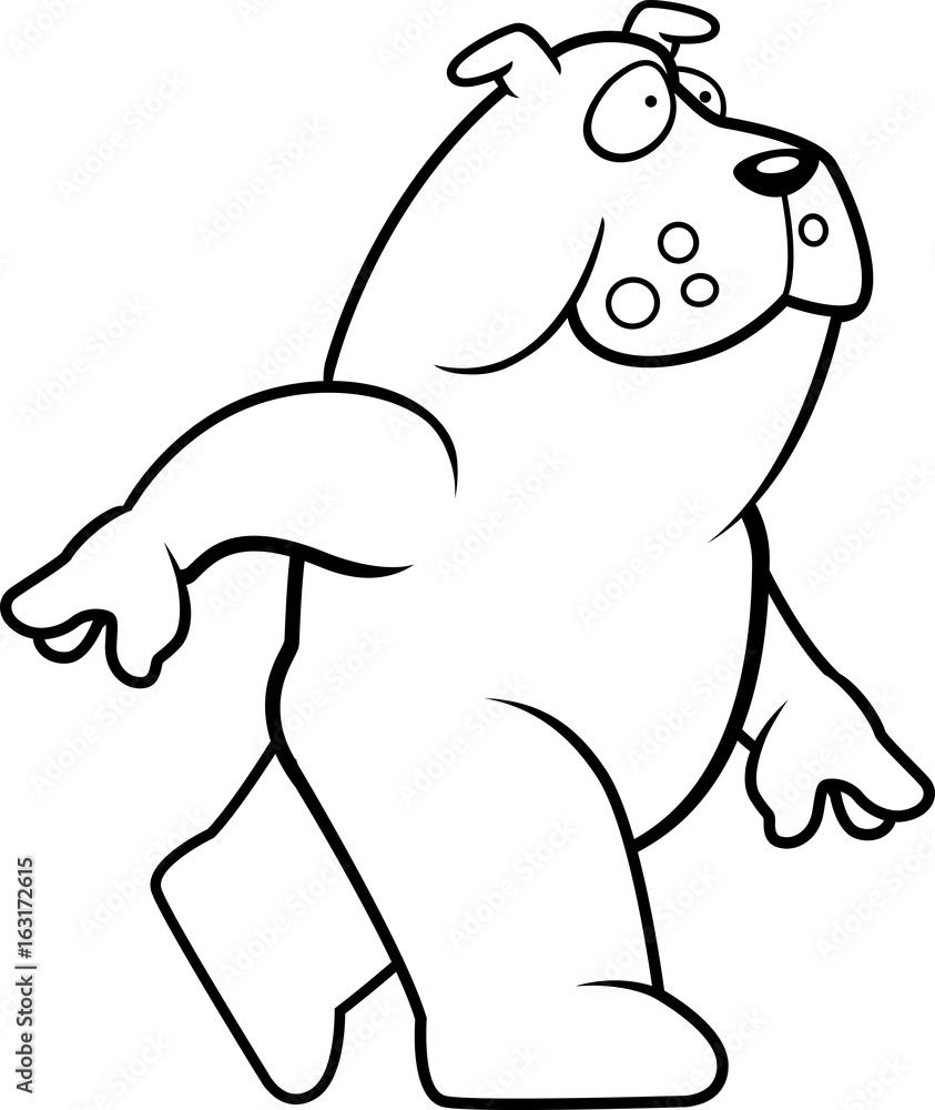 Bulldog Walking Bulldog Walking