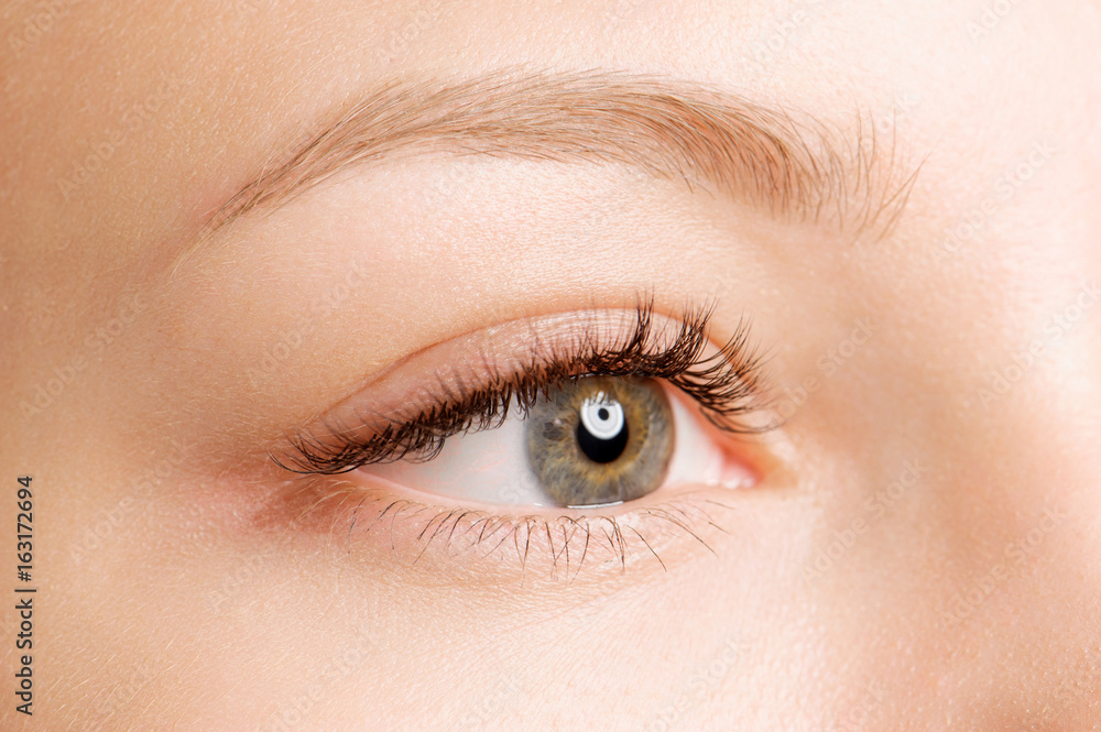 Closeup shot of female eye with day makeup Closeup shot of female eye with day makeup