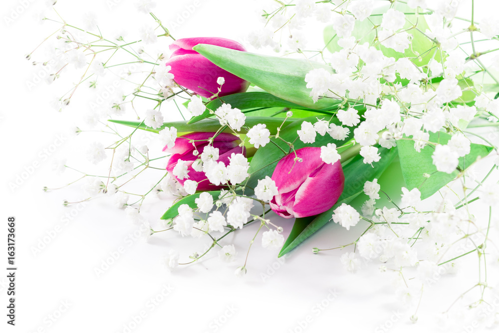 Obraz premium Pink tulip flowers on white background. celebration concept with copy space
