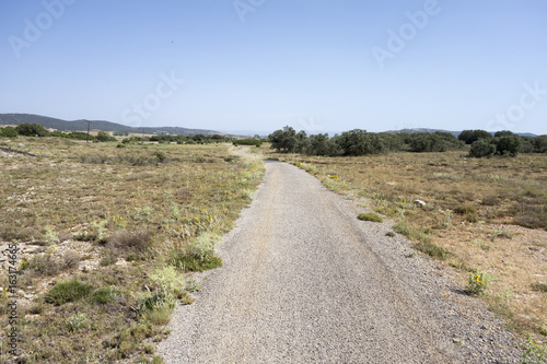 Green way black eyes in its passage by Barracas in Castellon