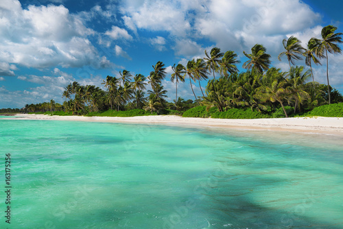 Tropical white sandy beach. Punta Cana  Dominican Republic