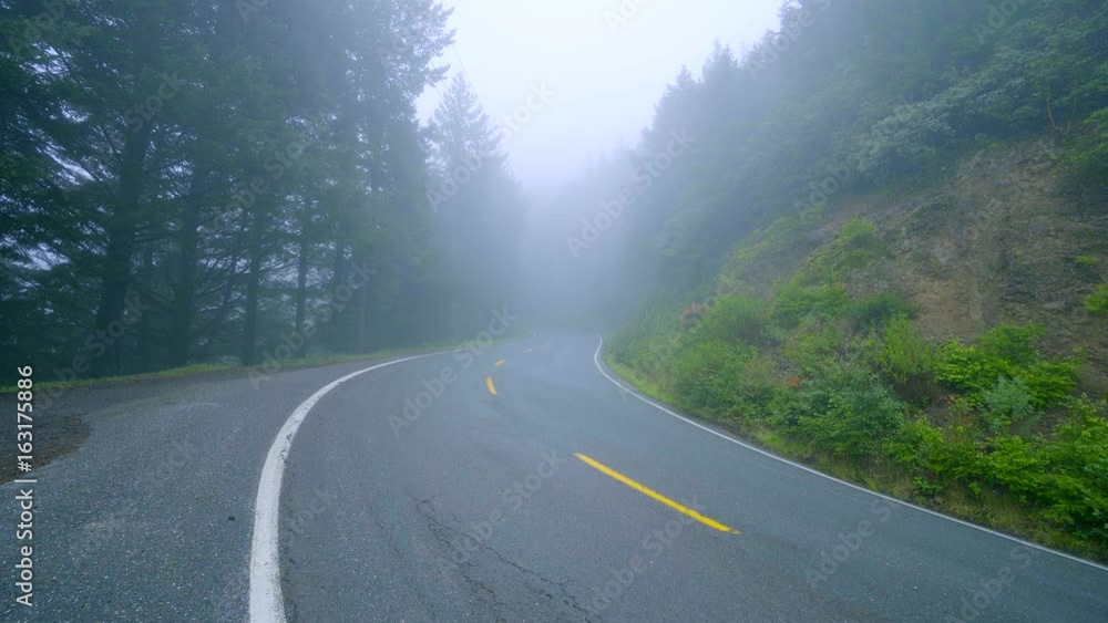 Lonesome street through the nature on a foggy day Lonesome street through the nature on a foggy day