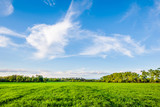 Green fields and blue sky