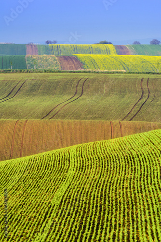 Colorful wavy hills in South Moravia © Cinematographer