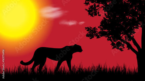 Vector silhouette of cheetah in nature at sunset.