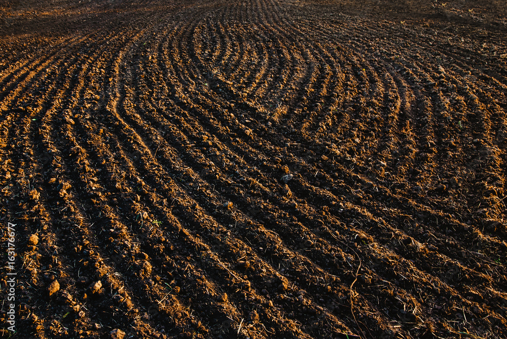 Black soil plowed field. Earth texture Black soil plowed field. Earth texture
