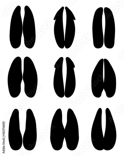 Black footprints of deer on a white background