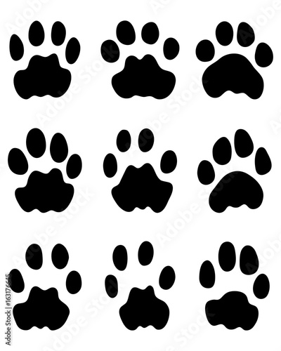 Black footprints of leopard on a white background