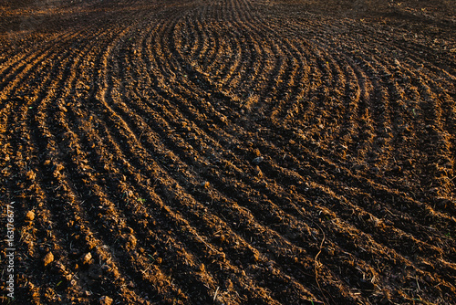 Black soil plowed field. Earth texture