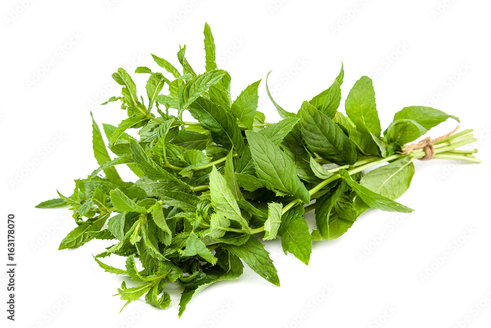 Fresh mint leaves bunch on white background. Fresh mint leaves bunch on white background.