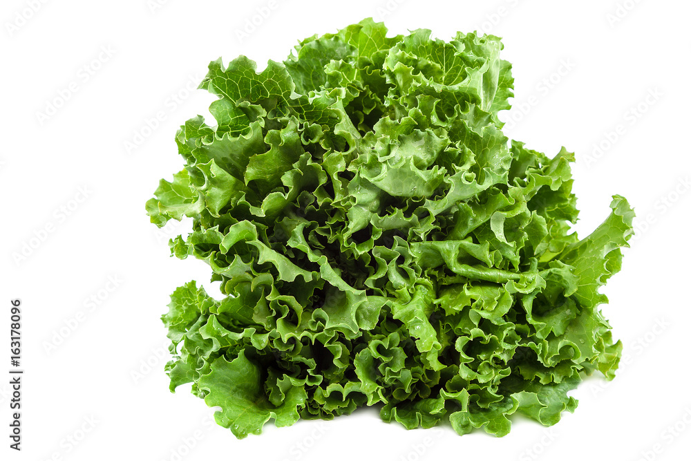 Fresh lettuce leaves isolated on white background Fresh lettuce leaves isolated on white background