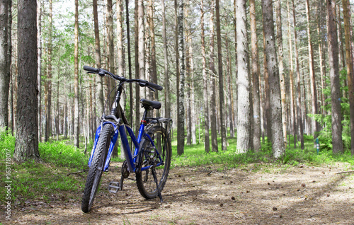 Mountain bike in the forest