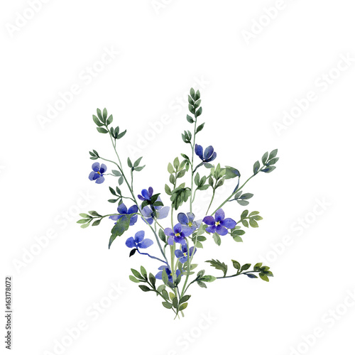 Blue small spring flowers image pattern 