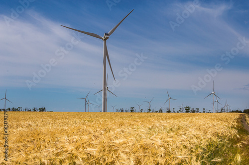 Coastal wind farm in the middle of a wheat field, Botievo, Ukraine