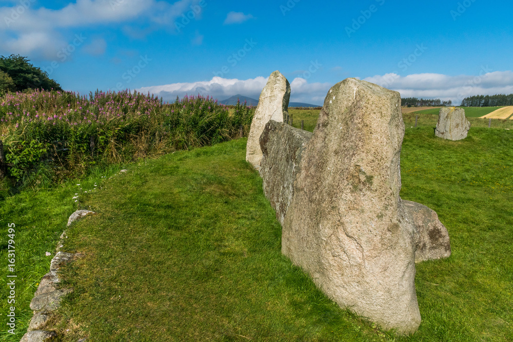 East Aquhorthies Stone Circle.