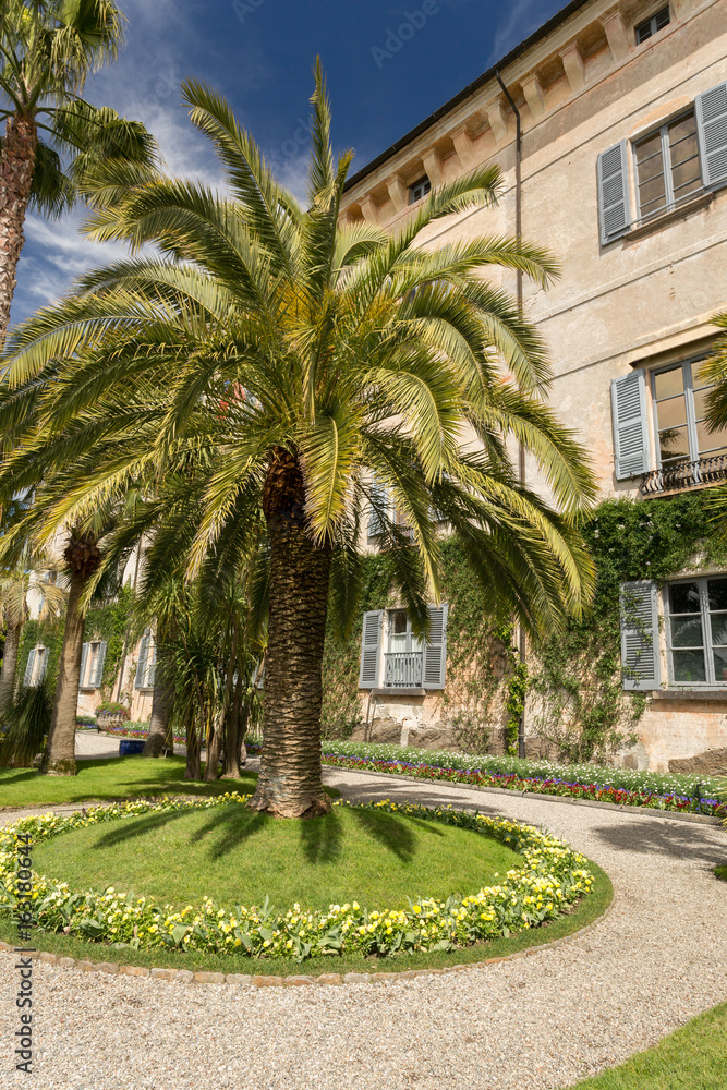 Palmier devant la façade