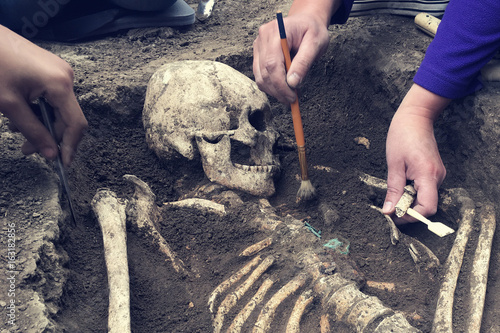 Archaeological excavations. archaeologist with tools conducts research on human burial, skeleton, skull.