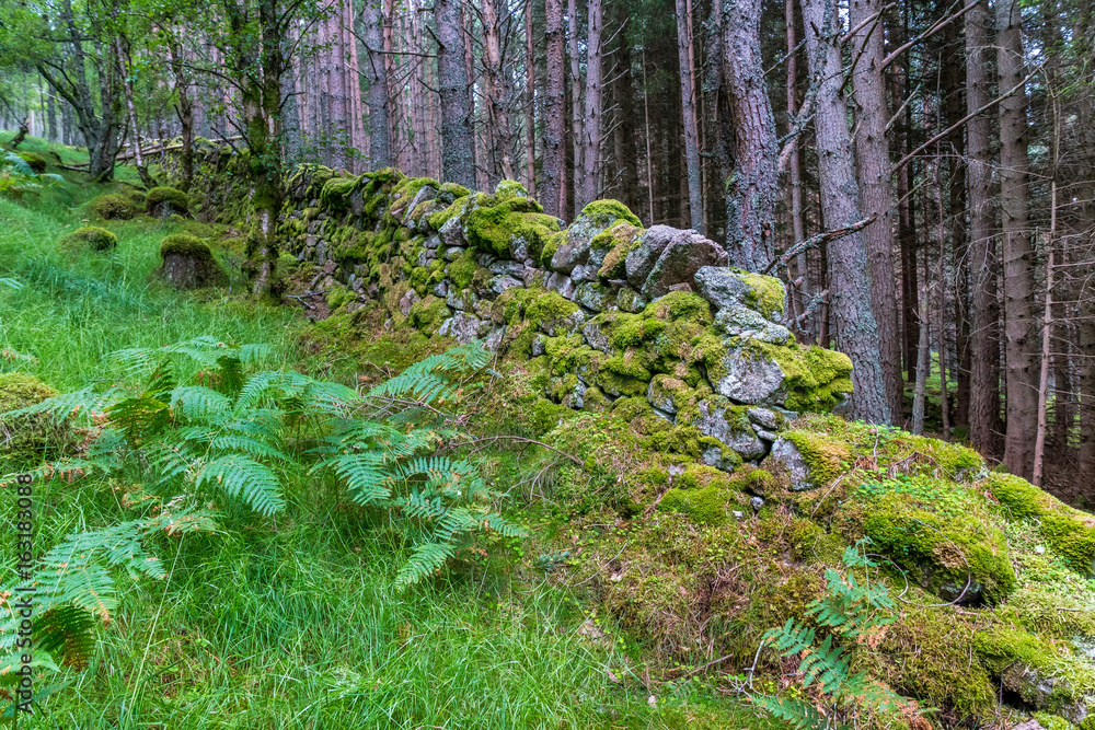 Old stone wall. Old stone wall.