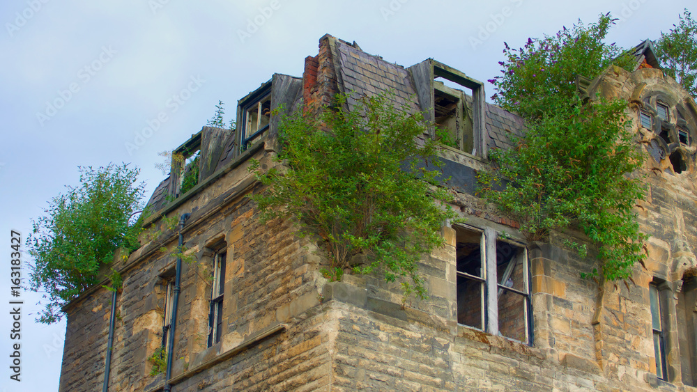 Old ruined building with bushes growing out of windows