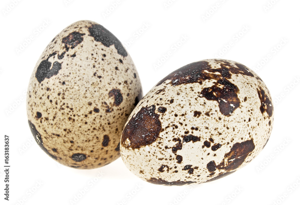 Quail eggs on a white background Quail eggs on a white background
