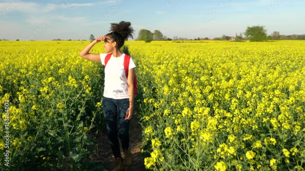 4K video clip of beautiful happy mixed race African American girl teenager female young woman hiking with red backpack in field of rape seed yellow flowers 4K video clip of beautiful happy mixed race African American girl teenager female young woman hiking with red backpack in field of rape seed yellow flowers
