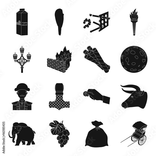 , transport, parking, dessert and other web icon in black style.hedge, antiquity, product, animal icons in set collection.